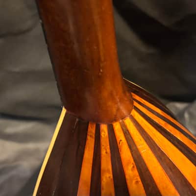 Bruno Bowlback Mandolin - Brazilian RW & Birds Eye Maple - Early 1900s - Great Player - All Org. - Case - Ships FREE!!! image 12