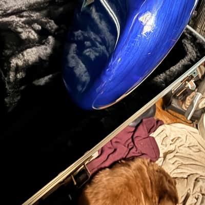 Fender Stratocaster image 15