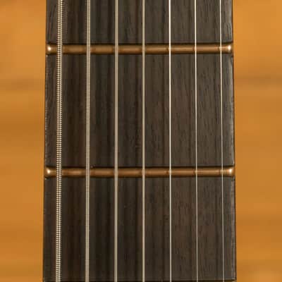 Schecter Synyster Gates Custom-7 TR Headless - Ebony - Oak Green Metallic - 7-String image 6
