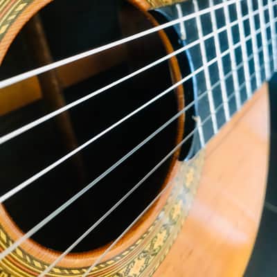 Tama TC 10 Concert Guitar 1979 image 1