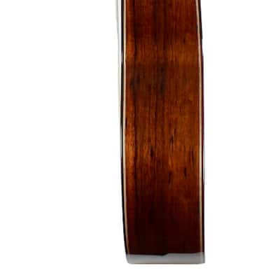 Antonio de Toledo "Ramirez" SP Elevated Fretboard image 7