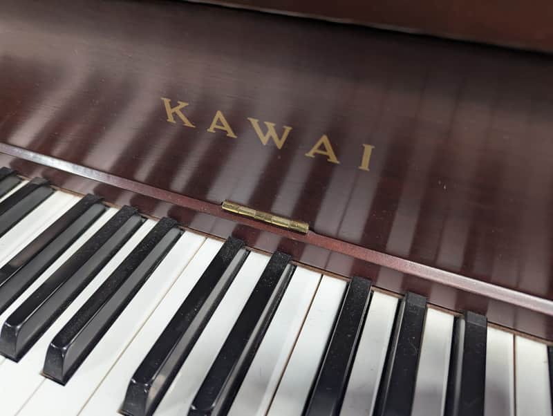 Kawaii SN A64166 - Dark mah image 1