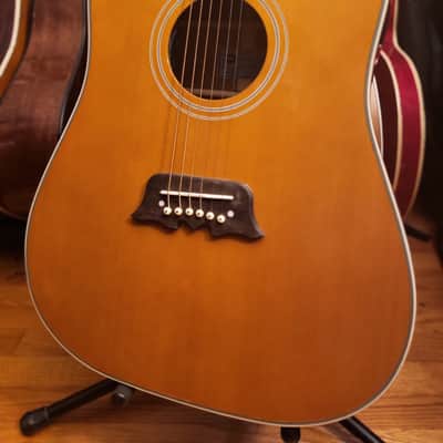 Epiphone   Excellente FT 120 Acoustic Electric Guitar image 1