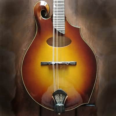 Holst F-4 Hybrid 2023 - Sunburst image 14