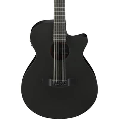 Ibanez AEG1221 AEG 12-String Acoustic Electric Guitar - Black Out image 1