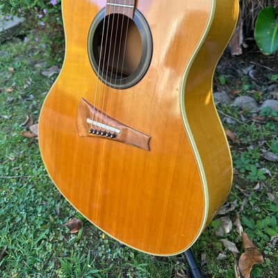 Gibson MK-53 1977 - Natural image 2