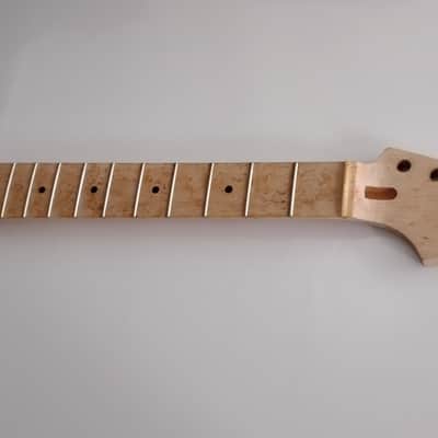 Boogie Bodies Stratocaster Neck Lynn Elsworth image 1