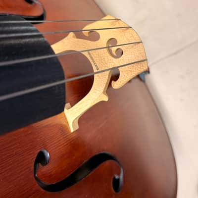 Gunter von Aue 4/4 Cello – German Made – Full Size – w/ | Reverb