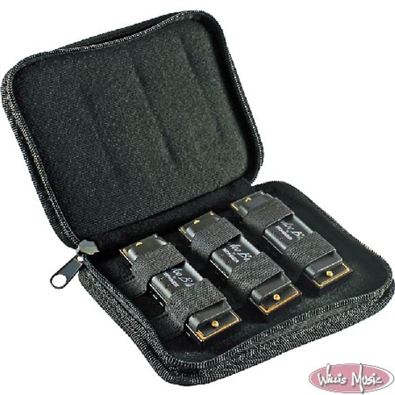 Immagine Hohner Hoodoo Blues Harmonica 3-Pack with Case - 1