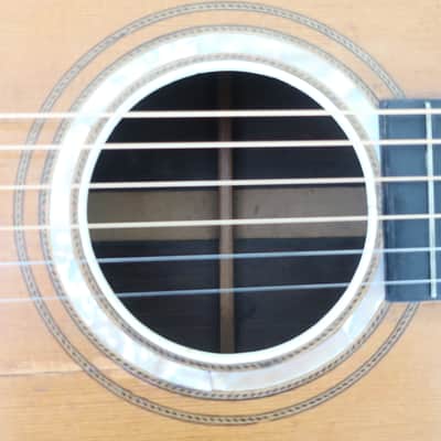 Vintage 1900s Lyon & Healy Parlor Guitar Finest Woods & Craftsmanship Moon Sun & Stars Inlay Ladder Braced Ditson Supertone Regal Lakeside image 21