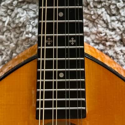 Mint Gold Tone GM-10 Frypan Acoustic Bluegrass Mandolin with Hard Case image 16