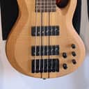 ESP LTD B-1006 moded