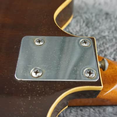 Lero Semi Hollow Body Electric Guitar image 18