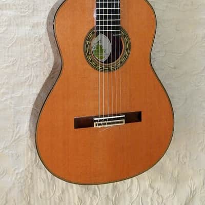 Keijo Korelin "Secale" cedar double top image 2