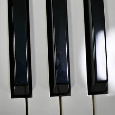 KORG Taktile-49 image 11