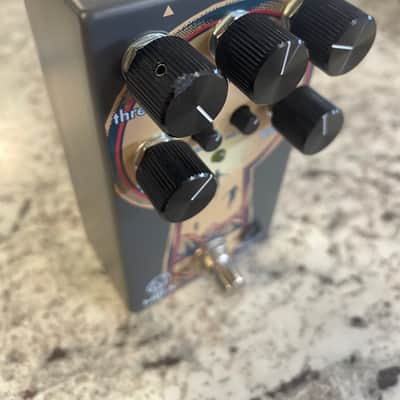Walrus Audio Mira image 4