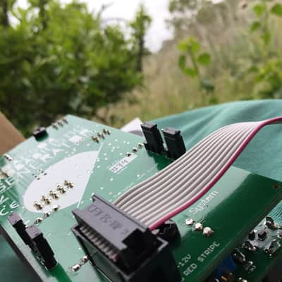 Addac System ADDAC504 Probabilistic Generator imagen 16