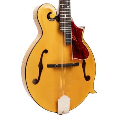 Gold Tone Grandmaster Elite Old Swiss/Italian Spruce Top 8-String Mandolin w/Hard Case image 3