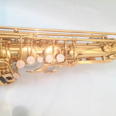 Musikwerks-Gold Lacquer Tenor Saxophone-Intermediate Level-New-w/Shop Warranty! image 5