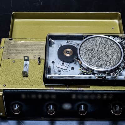 Binson Echorec B1S image 7