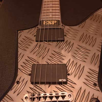 ESP EX Explorer Diamond Plate James Hetfield Metallica EMG 81 60