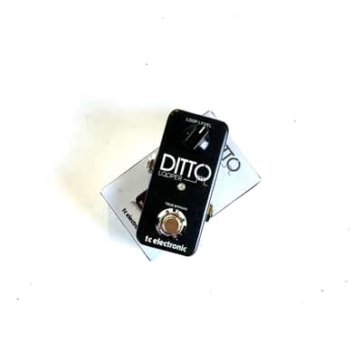 T.C. Electronics Ditto Looper - GOLD (Limited Edition) | Reverb