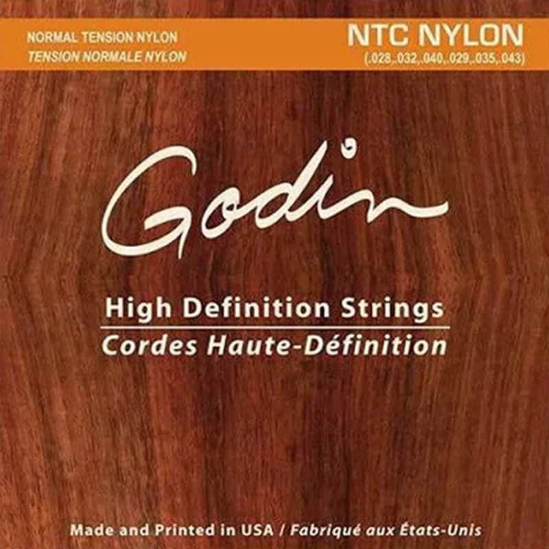 Nylon Custom Godin image 1