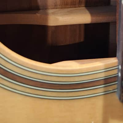Warwick RockBass Alien Deluxe Hybrid Thinline A/E 5-string bass guitar-FREE SHIPPING image 2