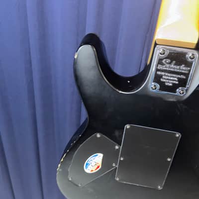 Schecter Damien-6 FR 2005 - 2011 - Satin Black image 13