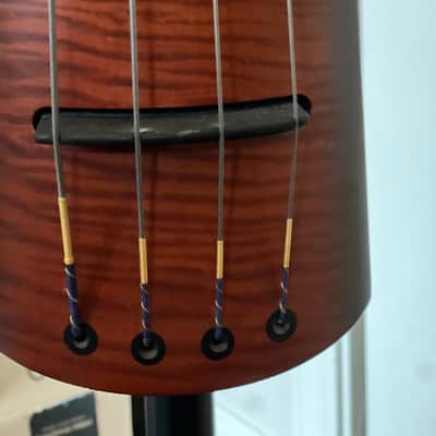 NS Designs NXT4 bass 2000's - passive image 3