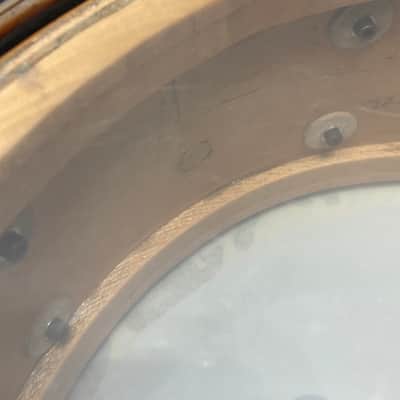 Steve Smith's Journey, David Frangioni Collection, Slingerland "Jamo Special"- 5.5x14" Radio King. SIGNED! #073. (DF2 Sling #1) image 21