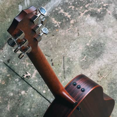 Taylor Builder's Edition 717e (V-Class Bracing) - MINT image 5