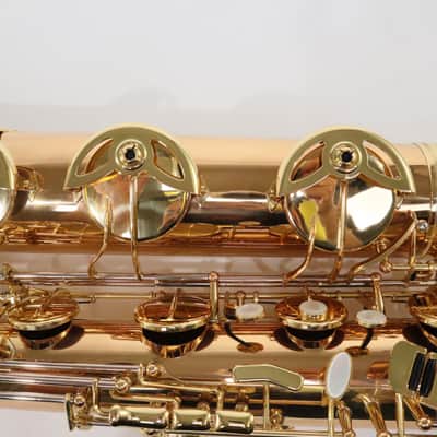 Selmer Model SBS411 Intermediate Baritone Saxophone SN 10631954 OPEN BOX image 6