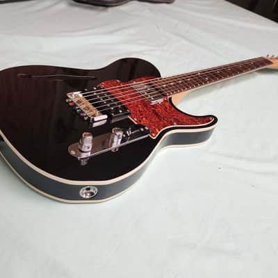 Fret-King Country Squire 2010’s - Black image 7