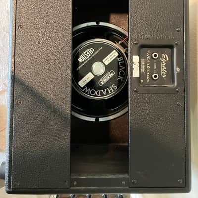 Vintage Dean Markley RM-80-DR + Egnater 1x12 / Mesa Black Shadow MC-90 image 5