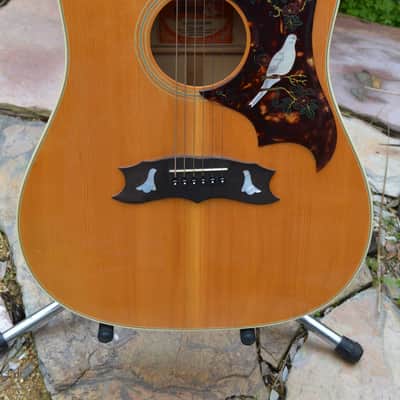 Gibson Dove 1975 Sunburst image 5