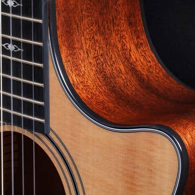 Taylor 314ce-N Nylon-String Acoustic Electric Grand Auditorium Guitar, Sitka Spruce Top, Sapele Back & Sides w/ Case image 3