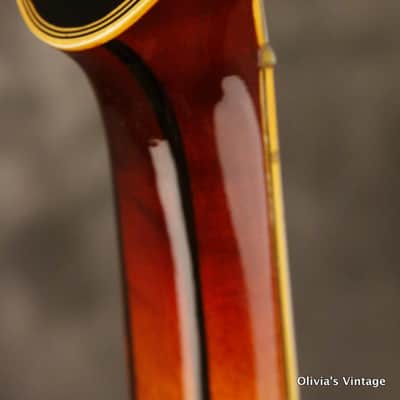 Gibson CITATION #14 electric archtop featured in 1975 Gibson catalog 1974 image 18