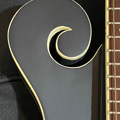 Gold Tone Manditar Mandolin F6  Satin Fast Shipping Acoustic/ Electric image 3