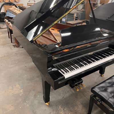 Boston 215 2023 - Polished Ebony image 7