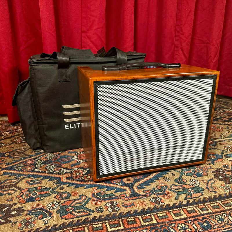 Elite Acoustics D6-58 120-Watt Rechargeable 8” + 5” Acoustic Guitar/Multi-Chan Amplifier w/ Gig Bag image 1