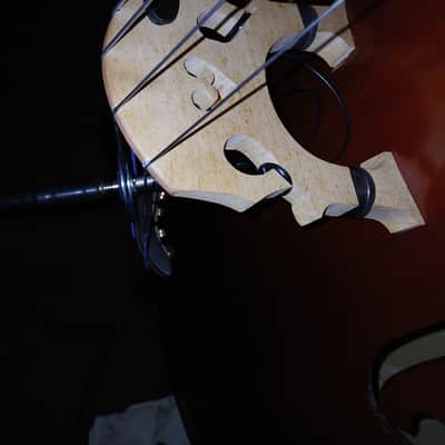 Palatino VB-029-3/4 Bergamo 2011 - Violin Brown image 13