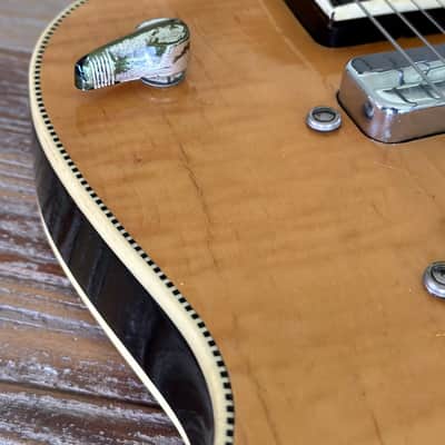 Celebrity Owned - Peter Green Personal Collection 1962 Silvertone Speed Demon in OHC and Provenance Paperwork image 7