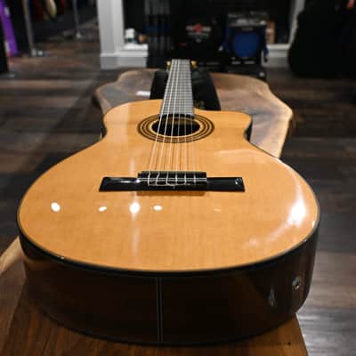 Ibanez GA6CE-AM Amber High Gloss Classical Guitar #718 image 22