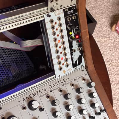 Powered 9U / 84HP Solid Wood Euro Case image 14