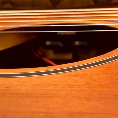 Cort COREOCOPLB Venetian Cutaway Solid Blackwood Top 6-String Acoustic-Electric Guitar w/Deluxe Case image 15