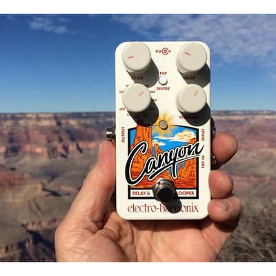 Electro-Harmonix Canyon Delay and Looper Pedal image 3