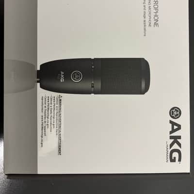AKG P120 image 5