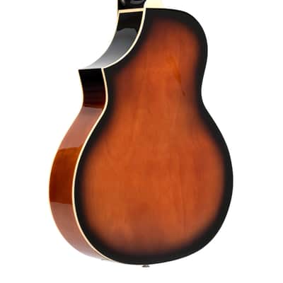 Gold Tone DOJO-DLX Cutaway Body Flamed Maple Top Maple Neck Deluxe 5-String Resonator Banjo with Gig Bag & Pickup image 2