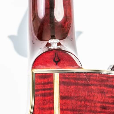 Daion The Year Series '81 Caribou - Wine Red (WR) - Electric Acoustic Six String image 9